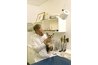 Yorkies available from Yorkie rescue groups have been fully vetted, spayed or neutered.