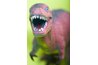 T-rex: party crasher or theme-related guest?