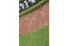 Boxwood is a versatile bush found in landscapes.
