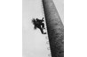Get a professional chimney sweep to certify your work.