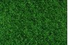 Synthetic turf might work for some dogs.