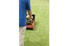 Dethatching lawns can be an important step in the prevention of lawn pests.