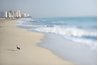 Beach in Miami
