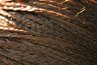 Braiding the fibers is one method for making rope.