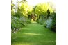 Home garden and lawn