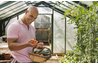 Growing vegetables in a hoop house