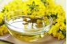 Bowl of canola oil and canola flower.