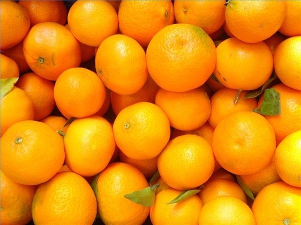 Draw an Orange Draw an Orange