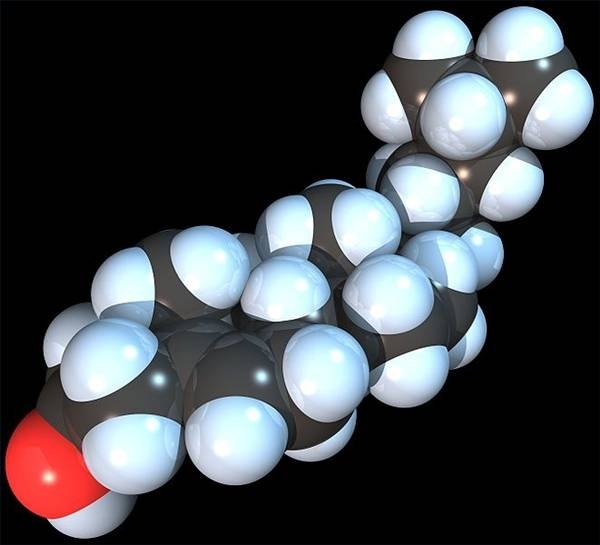 Cholesterol Spacefill, 04/07, Red Andr, Wikicommons