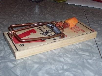 Baited rat trap
