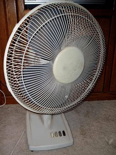A standard oscillating fan