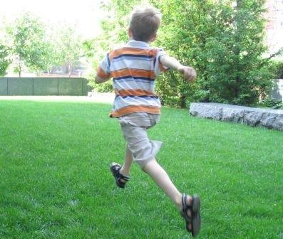 Physical & Motor Development in Primary School Children Physical & Motor Development in Primary School Children