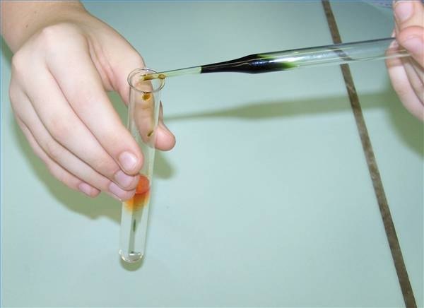 Pharmaceutical Chemist Job Description Pharmaceutical Chemist Job Description