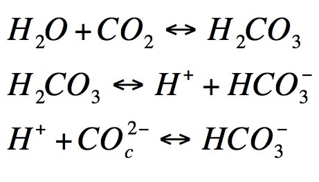 Molecular reaction