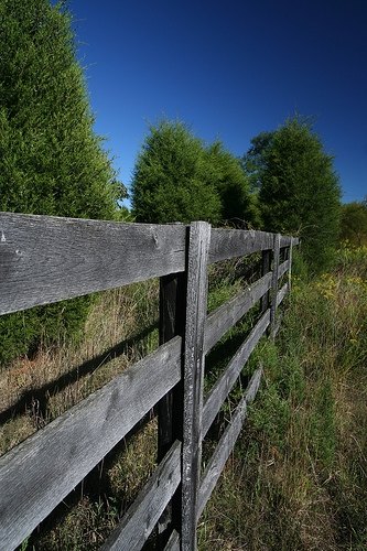 An untreated cedar split style fence.