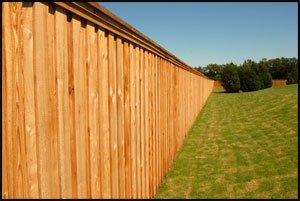 This cedar stockade style fence has a clear sealant applied to preserve the color of the wood.