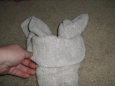 Shaping the trunk and ears.