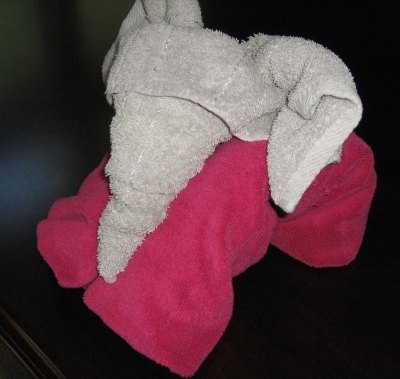 Folded towel elephant. Folded towel elephant.