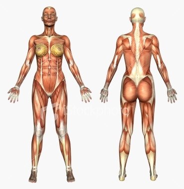 all musllims girls full naked image galary sexy fucking position latest