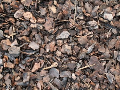 All things have texture in one way or another. All things have texture in one way or another.