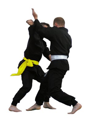 SEALs are trained in a number of martial arts.