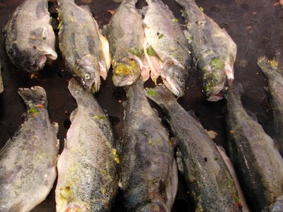 Grilling works best with high-grade fish.