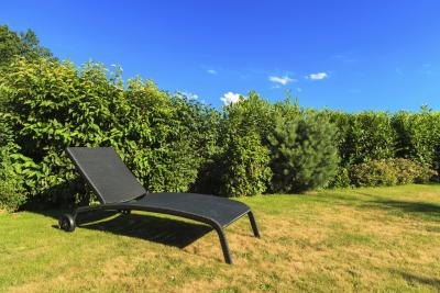 hedges can provide greenery and privacy hedges can provide greenery and privacy