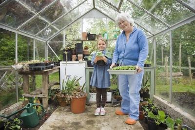 Greenhouse with plants and seeds.