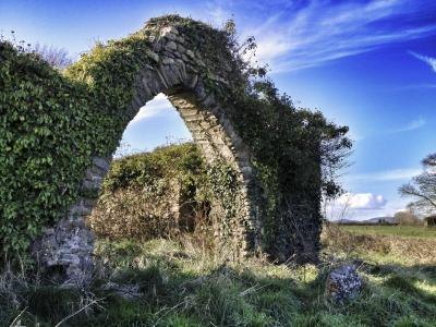 An ancient church wall covered in Irish ivy