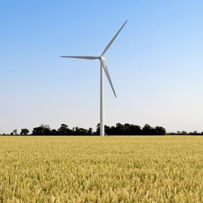 A wind turbine spins in the middle of a wheat field. A wind turbine spins in the middle of a wheat field.