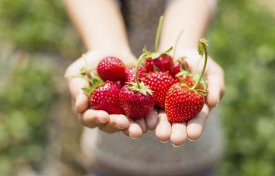 Children under the age of 2 should not eat strawberries.