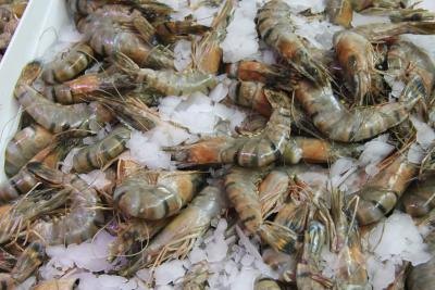 Prawns Prawns