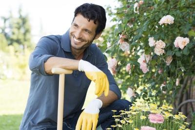 Landscapers plan and plant a combination of flowers and plants.