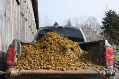truck full of manure