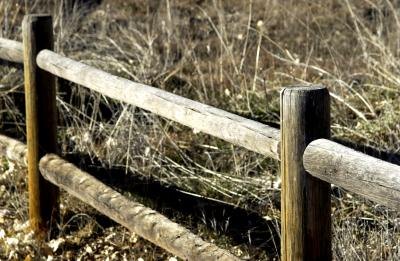 Rustic ranch style fence
