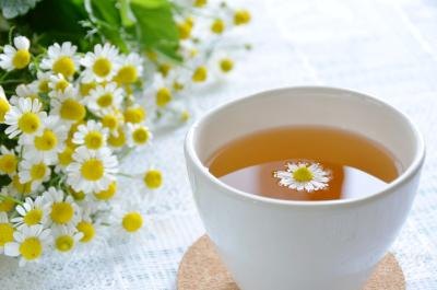 Chamomile flowers and tea.