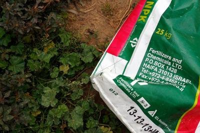 Use a fertilizer formulated for lawns in your part of the country.