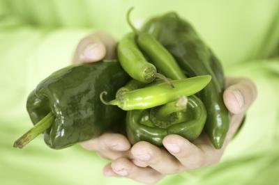 Person holding an assortment of green chilies and peppers