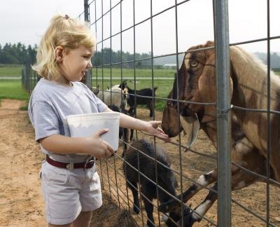 Field trips provide entertainment for students.