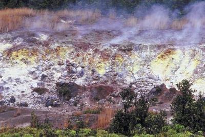 What Are Flowers Of Sulphur Ehow Uk