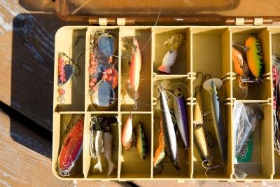 When fishing for rockfish, some lures are better than others.