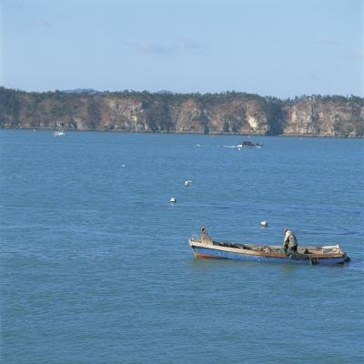 East to west, and vice versa is the best boating pattern for catching rockfish.