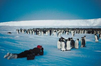 Wildlife photographer. Wildlife photographer.