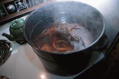 Convection