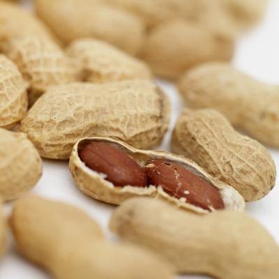 Peanuts in their shell.