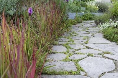 Stone path leads through a small garden bed