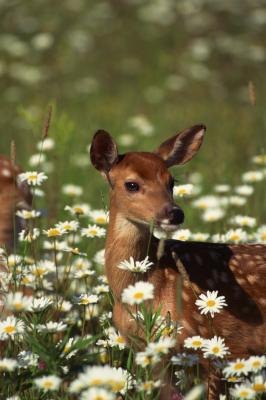 Repellents are generally ineffective against browsing wildlife; a fence is more useful.