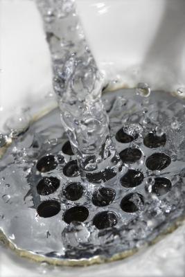 Mold Amp Tiny Black Worms Are Living In My Shower Ehow