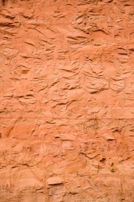 Clay soils have fine particles that bind and do not drain well.