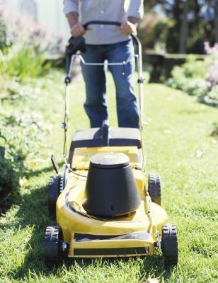 Use rotary mowers and not reel-type mowers for St. Augustine grass.